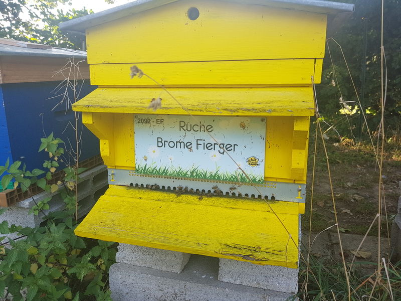 La ruche Brome Fierger
