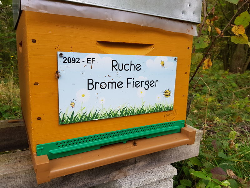 La ruche Brome Fierger
