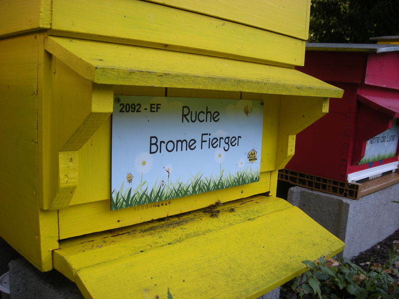 La ruche Brome Fierger