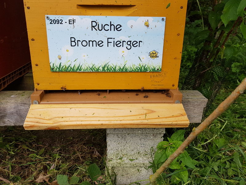 La ruche Brome Fierger