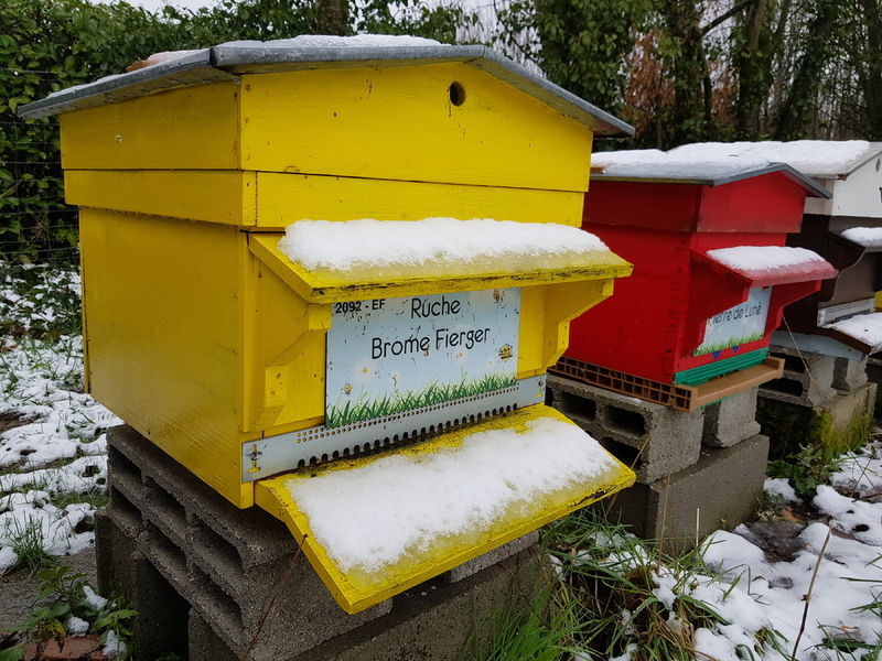 La ruche Brome Fierger