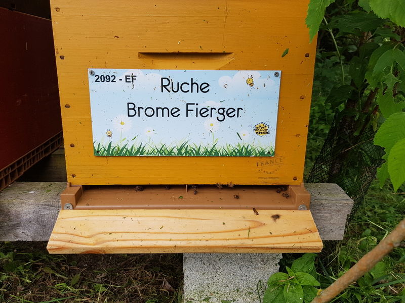 La ruche Brome Fierger