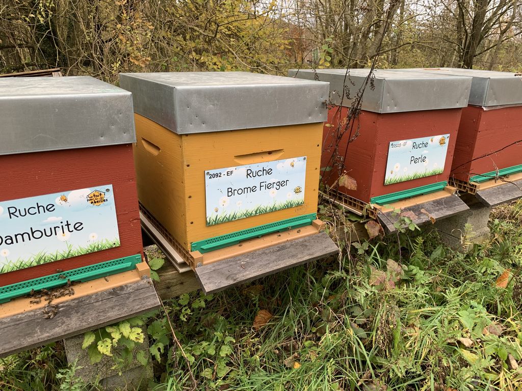 La ruche Brome Fierger