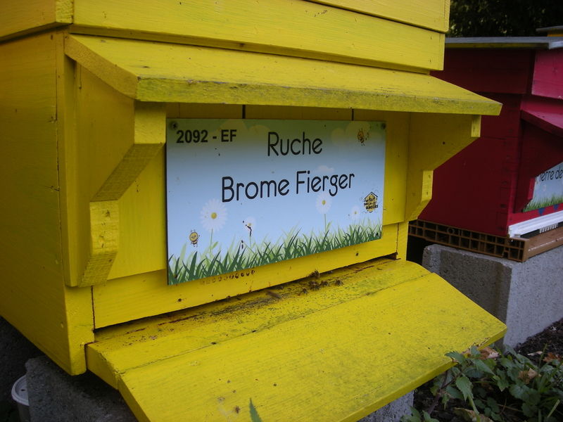 La ruche Brome Fierger