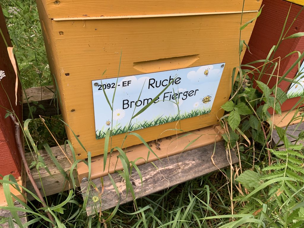 La ruche Brome Fierger
