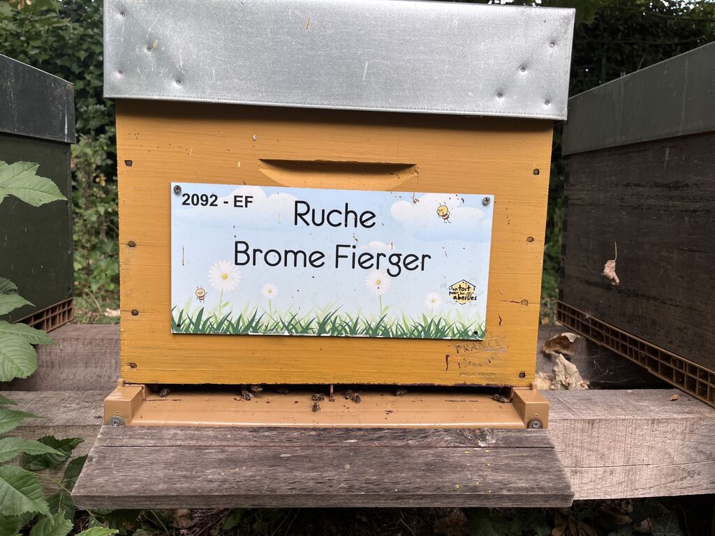 La ruche Brome Fierger