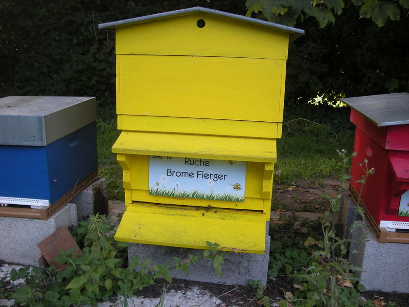 La ruche Brome Fierger
