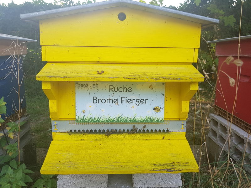 La ruche Brome Fierger