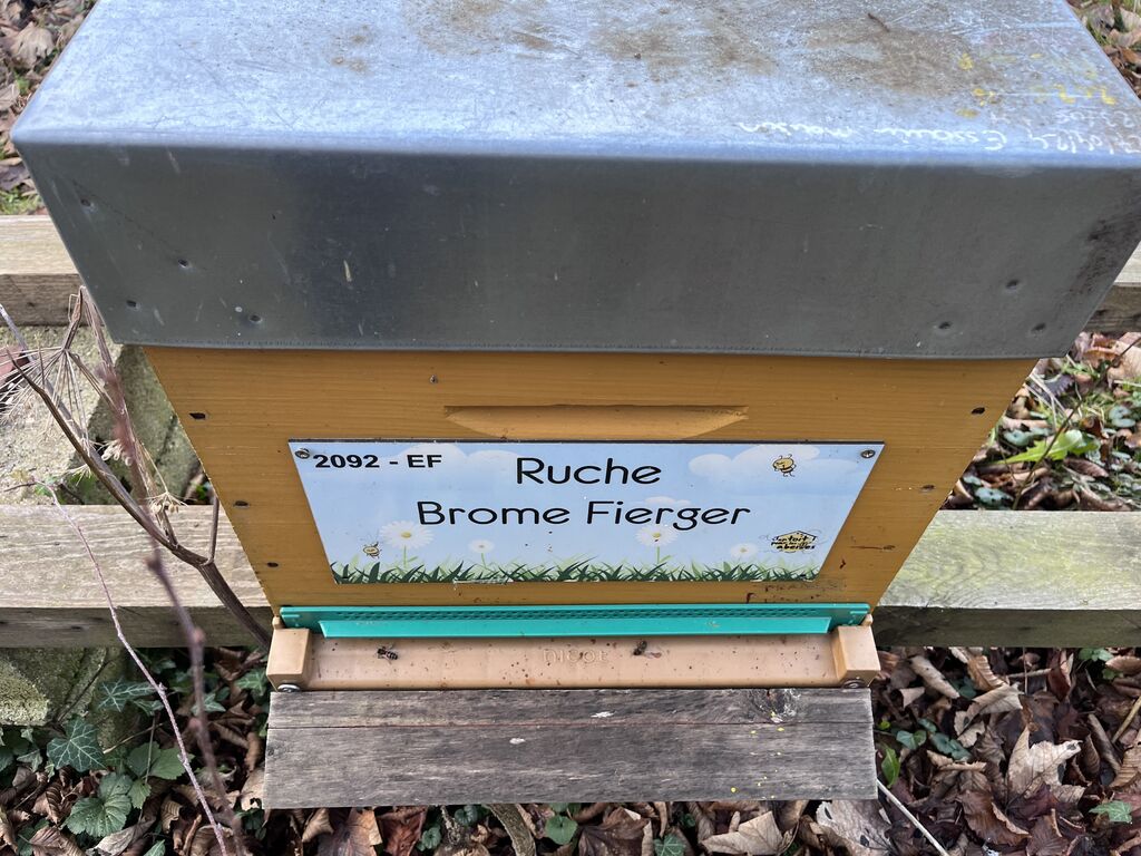 La ruche Brome Fierger