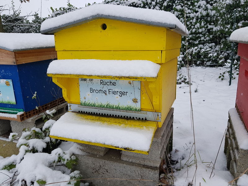 La ruche Brome Fierger