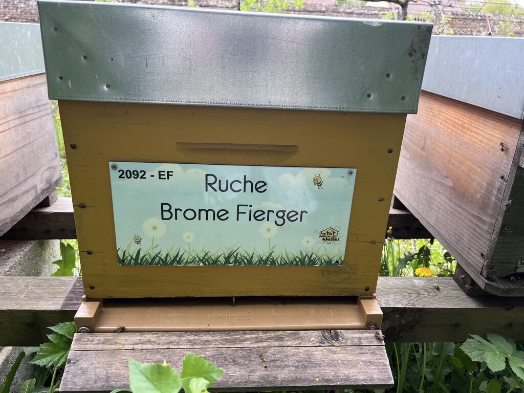 La ruche Brome Fierger