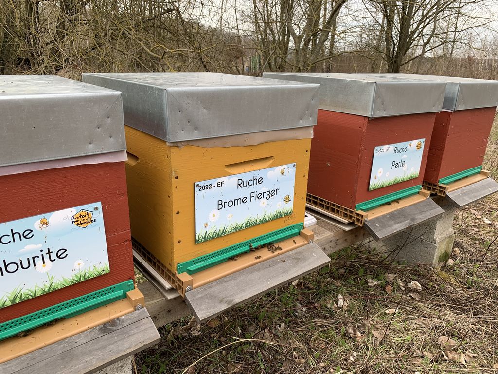 La ruche Brome Fierger