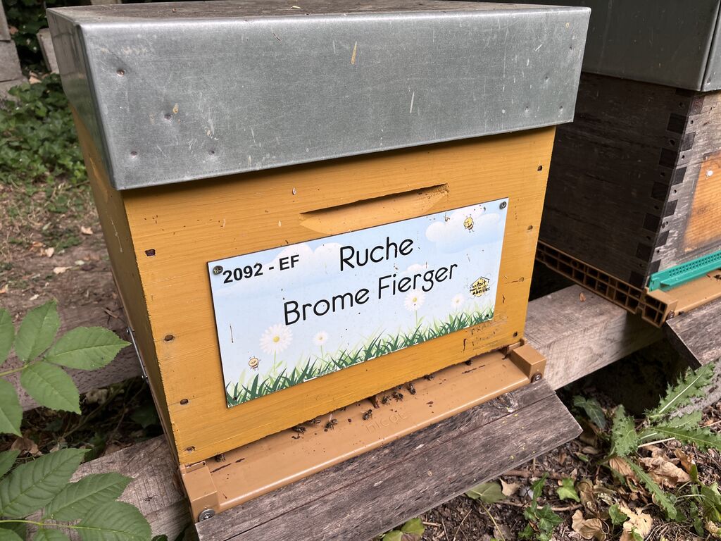 La ruche Brome Fierger