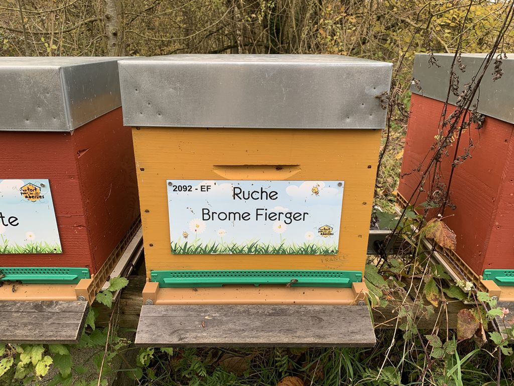 La ruche Brome Fierger