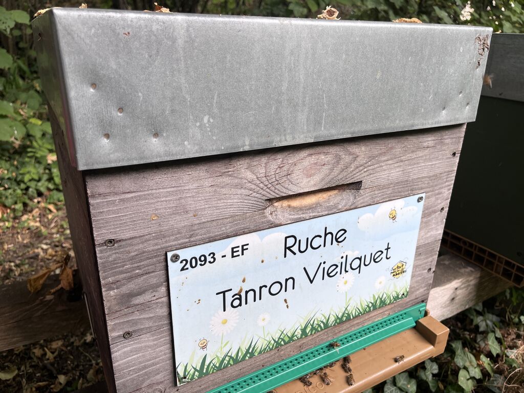 La ruche Tanron Vieilquet