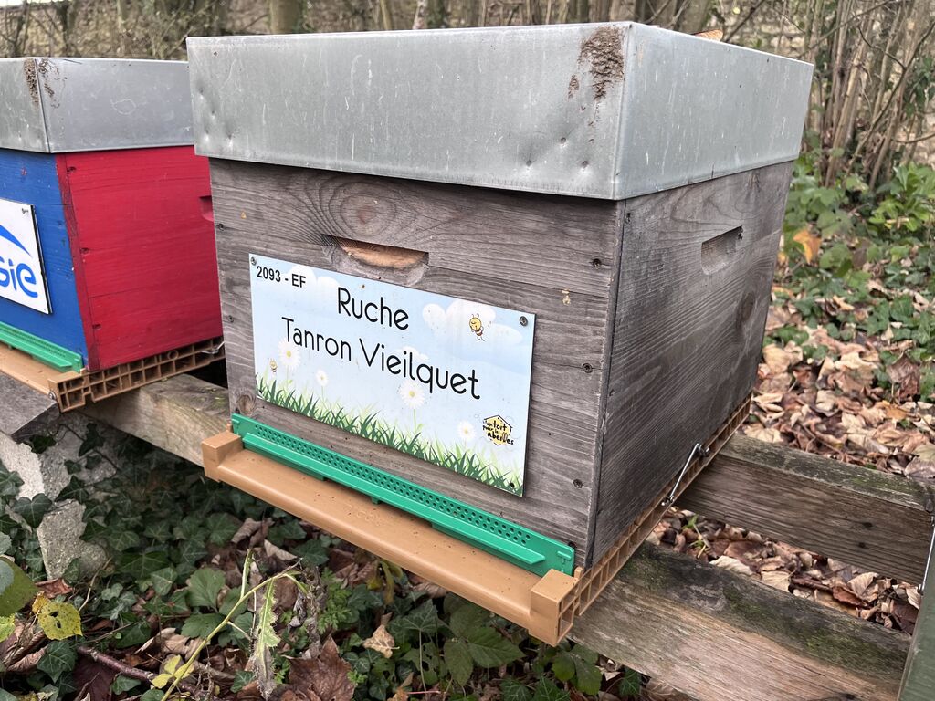 La ruche Tanron Vieilquet