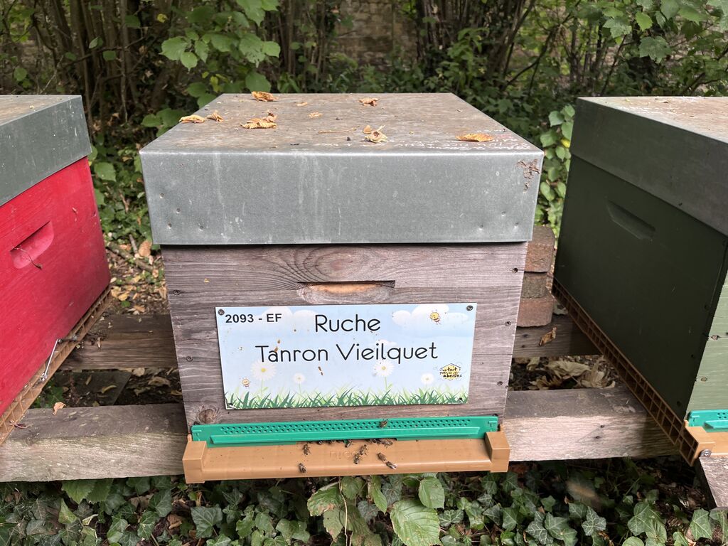 La ruche Tanron Vieilquet