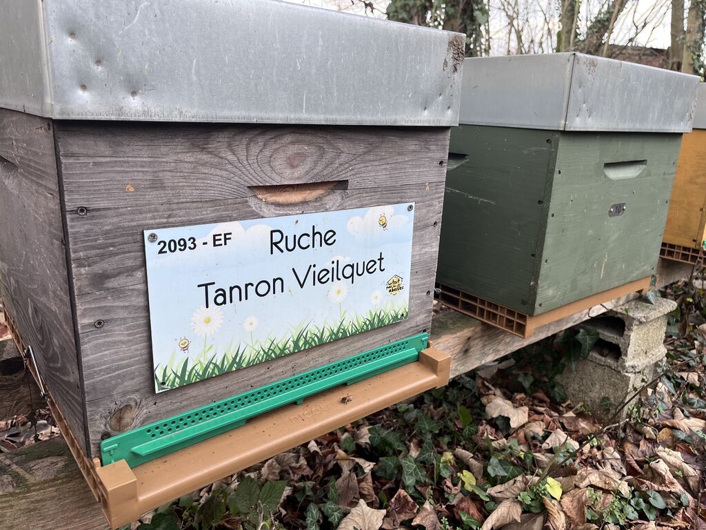 La ruche Tanron Vieilquet