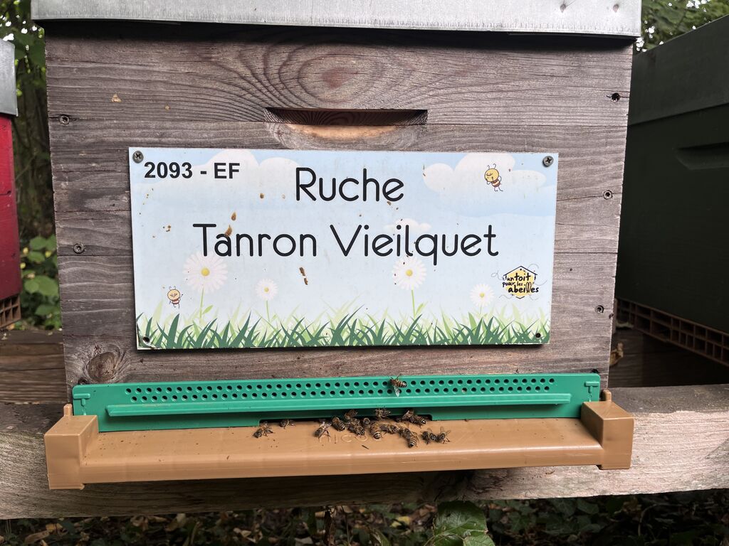 La ruche Tanron Vieilquet