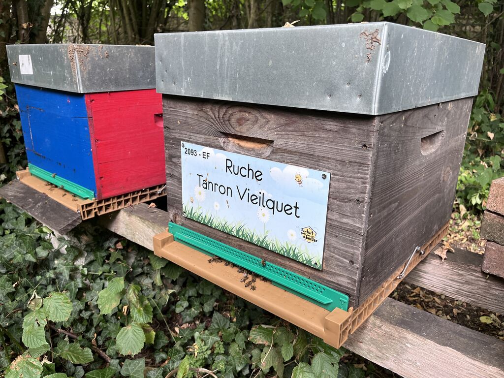 La ruche Tanron Vieilquet