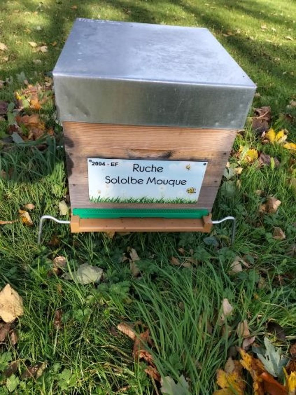 La ruche Sololbe Mouque