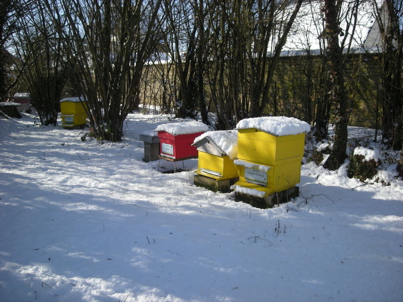 La ruche Sololbe Mouque