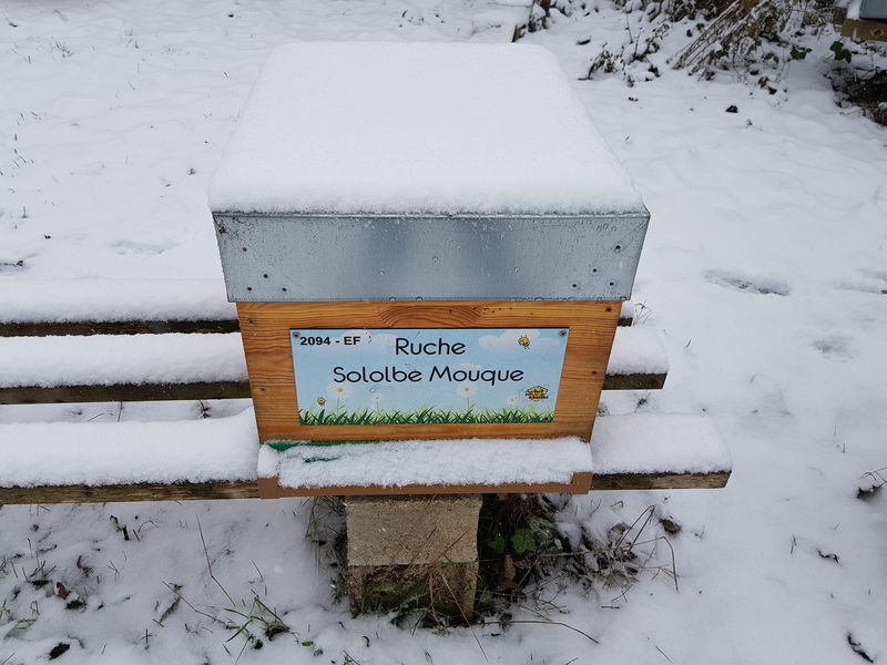 La ruche Sololbe Mouque