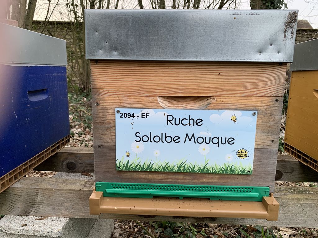 La ruche Sololbe Mouque