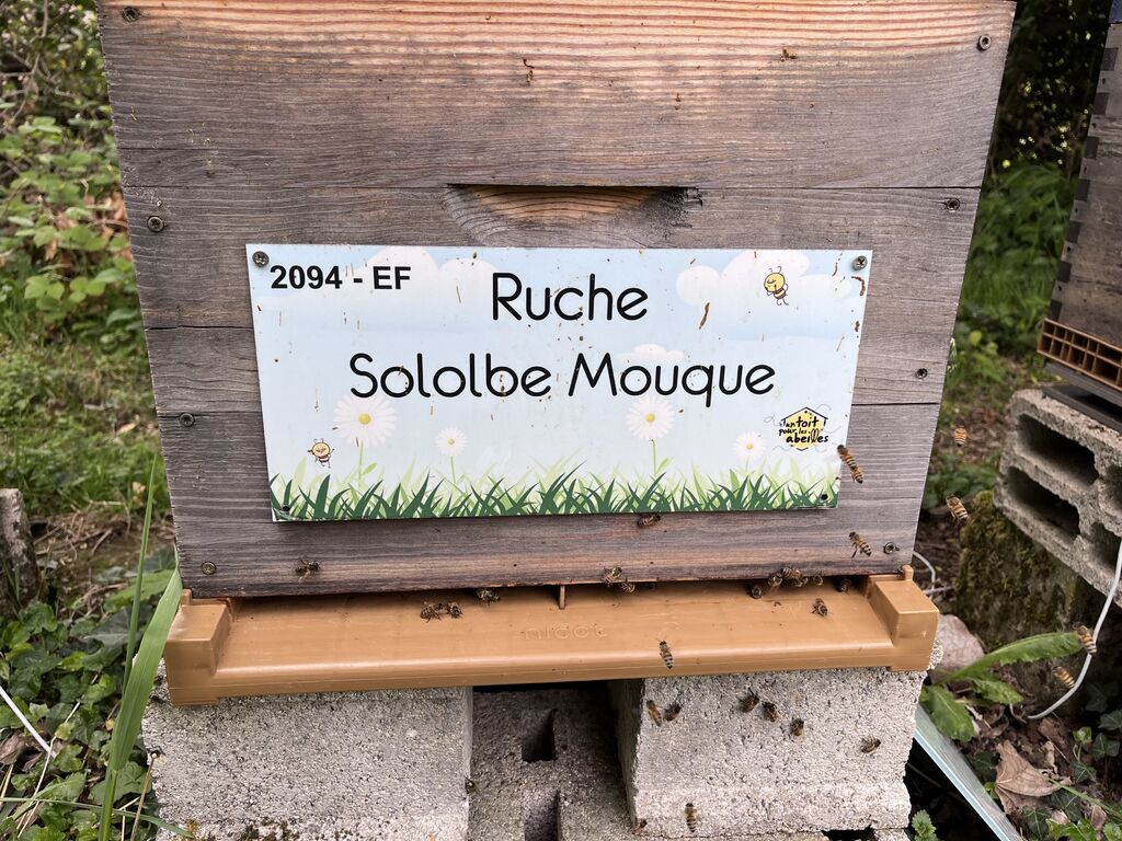 La ruche Sololbe Mouque