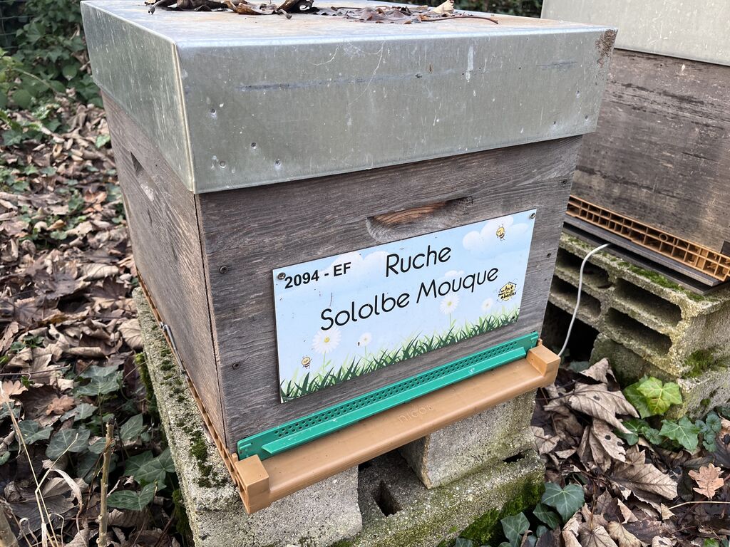 La ruche Sololbe Mouque