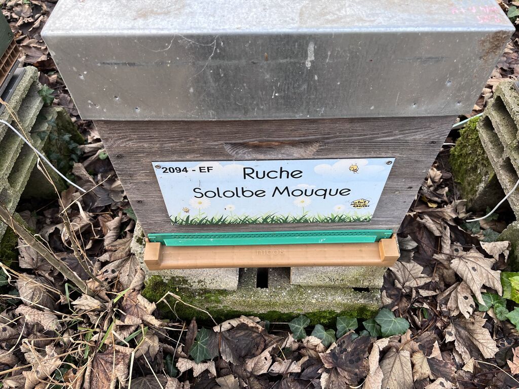 La ruche Sololbe Mouque
