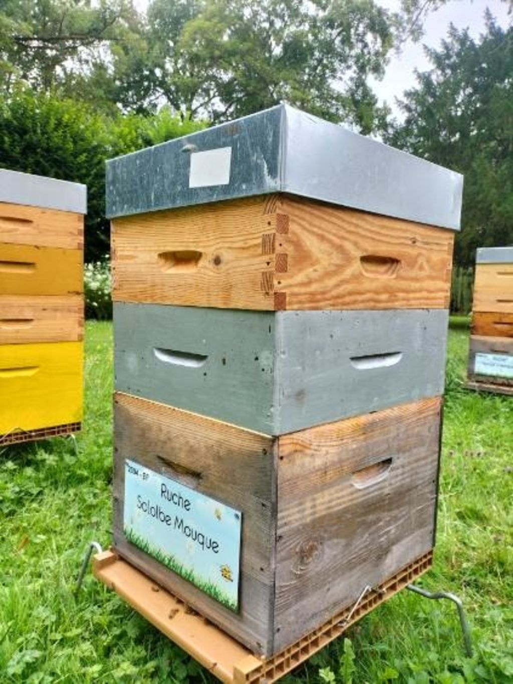 La ruche Sololbe Mouque