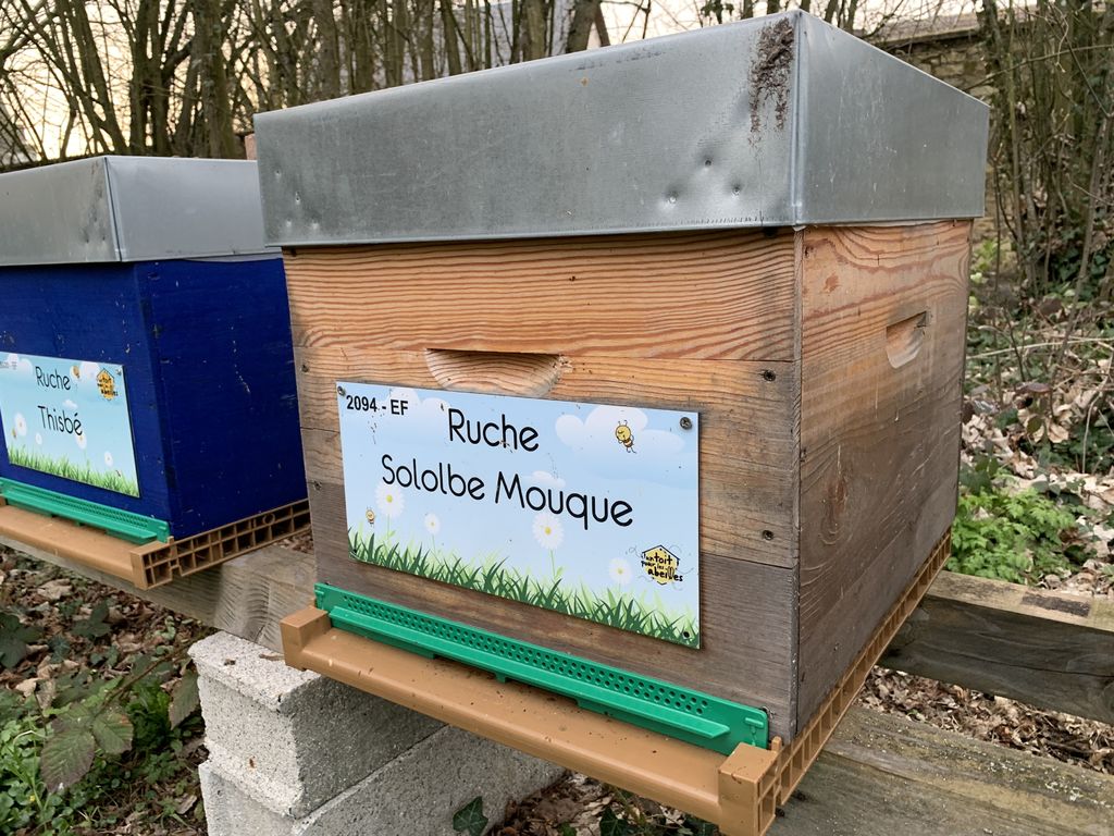 La ruche Sololbe Mouque