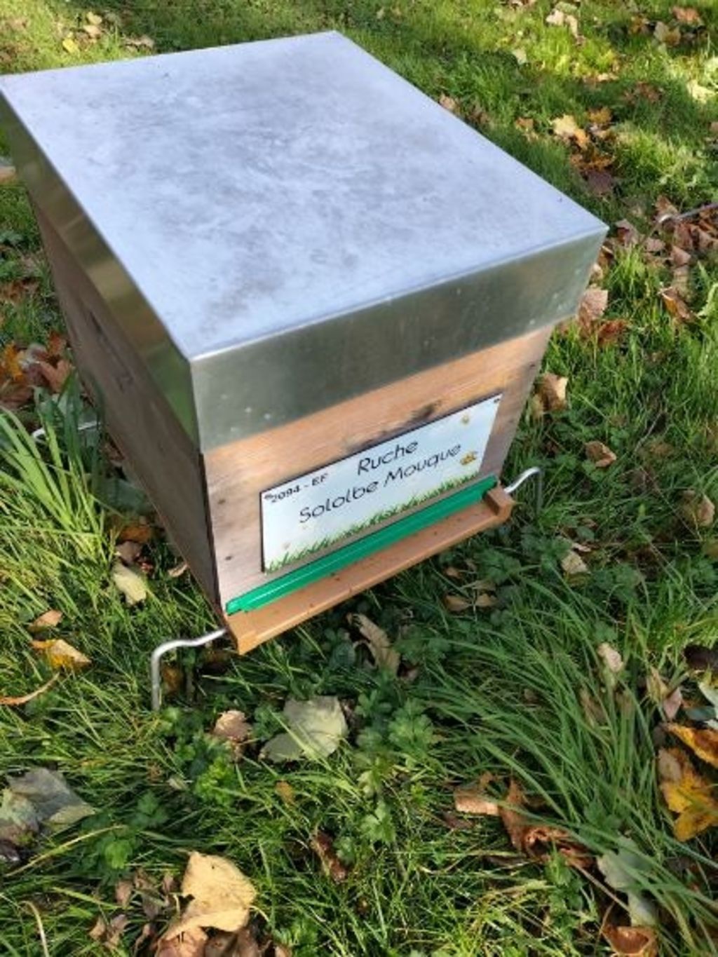 La ruche Sololbe Mouque