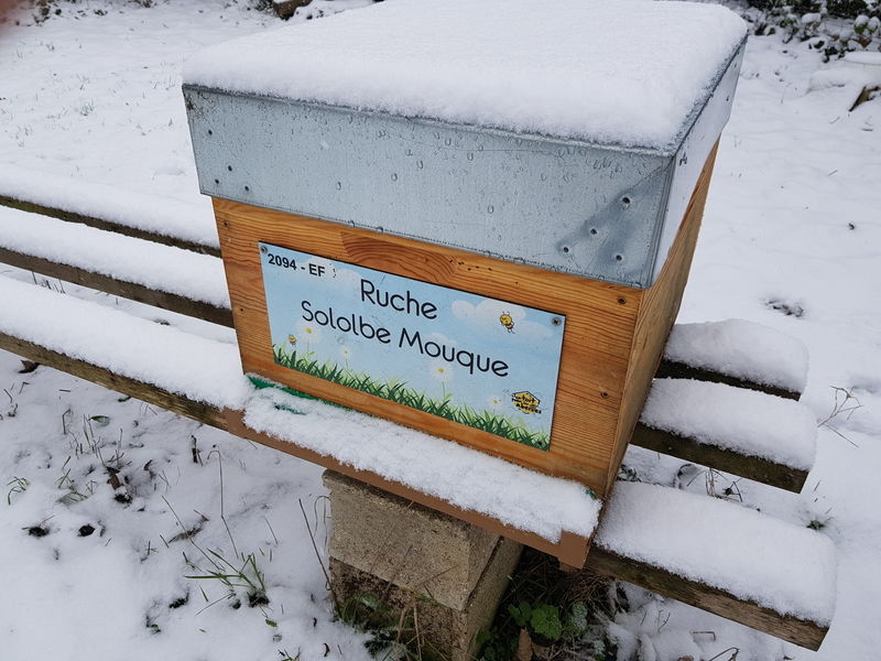 La ruche Sololbe Mouque