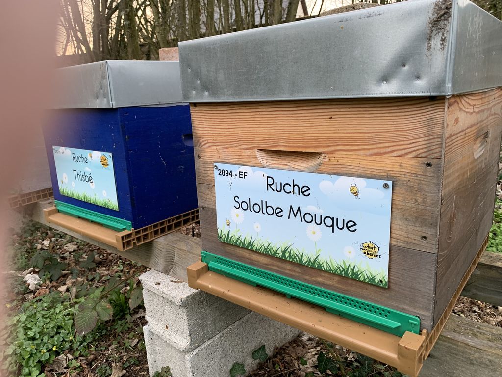 La ruche Sololbe Mouque