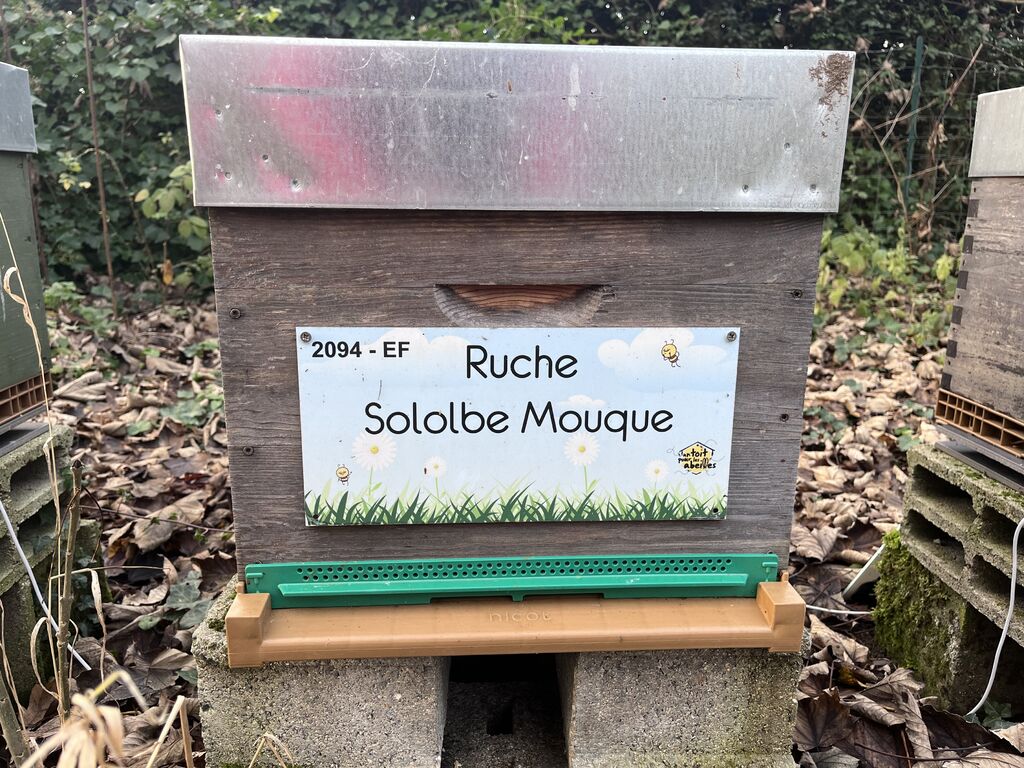 La ruche Sololbe Mouque