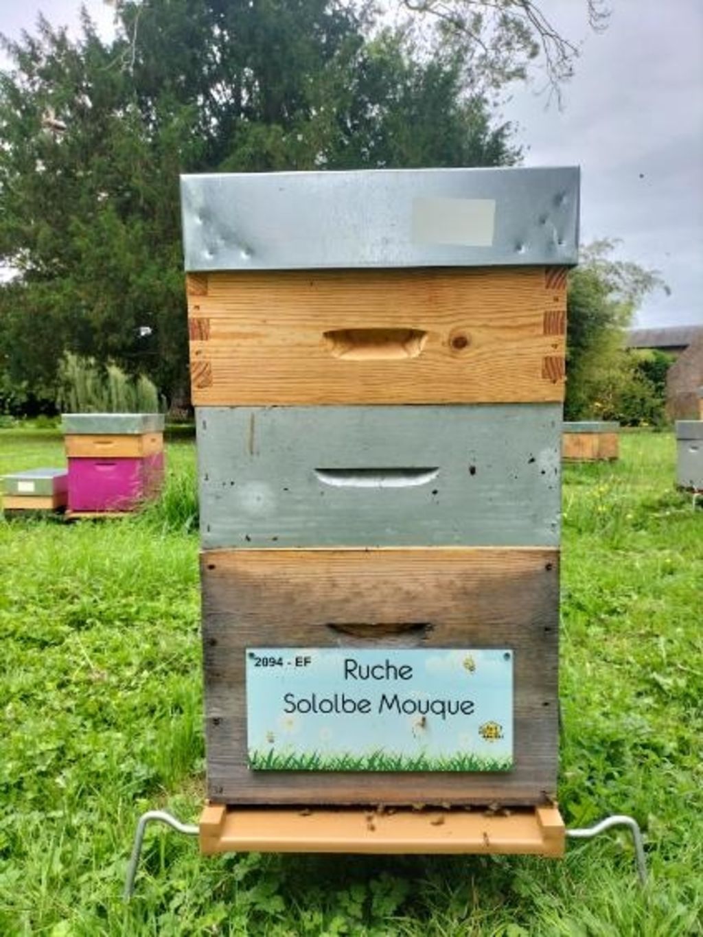 La ruche Sololbe Mouque