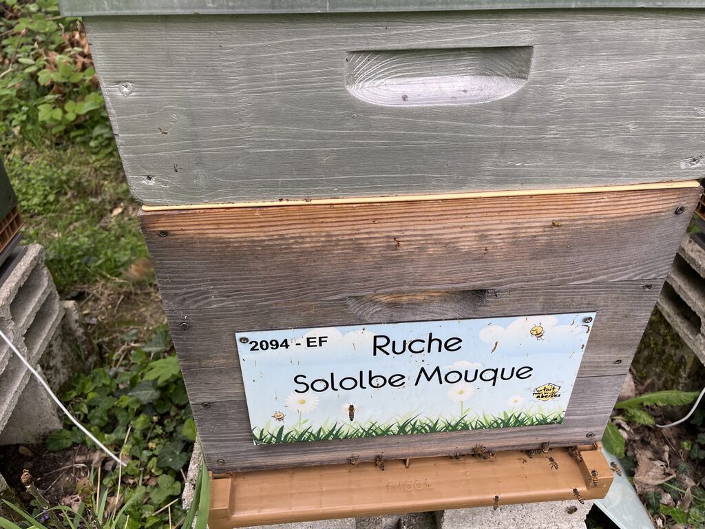 La ruche Sololbe Mouque