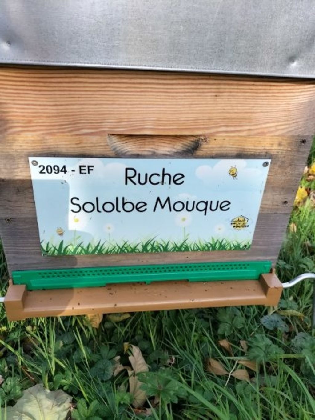 La ruche Sololbe Mouque