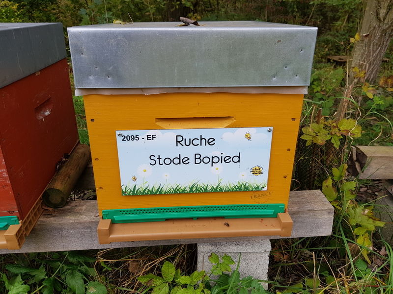 La ruche Stode Bopied