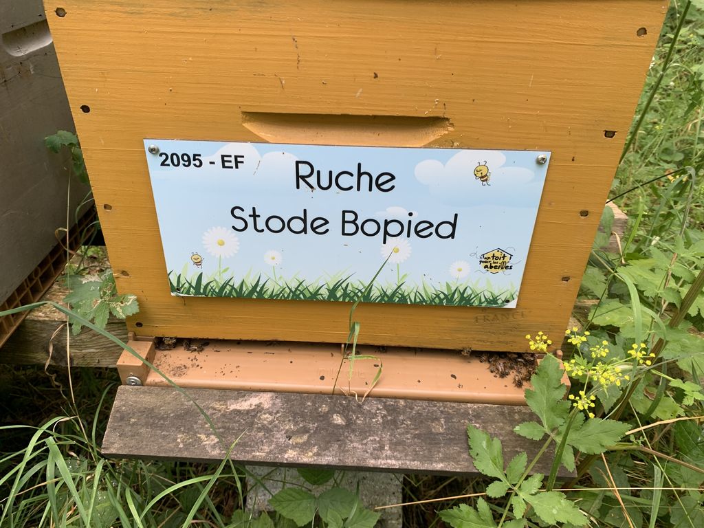 La ruche Stode Bopied
