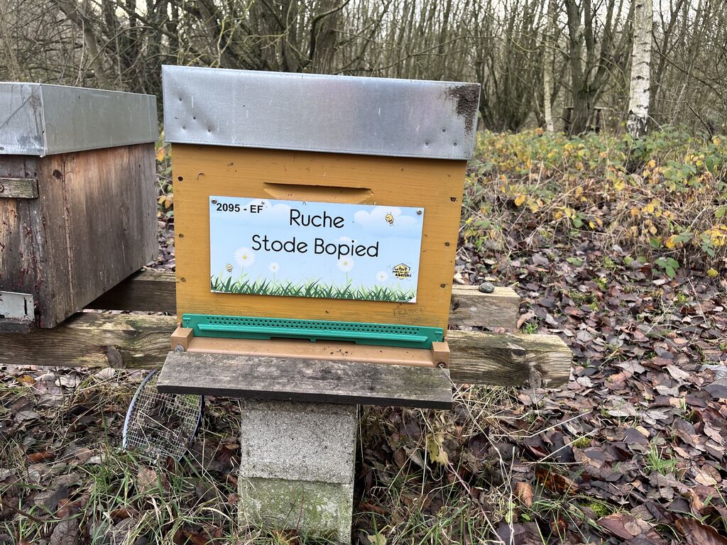 La ruche Stode Bopied