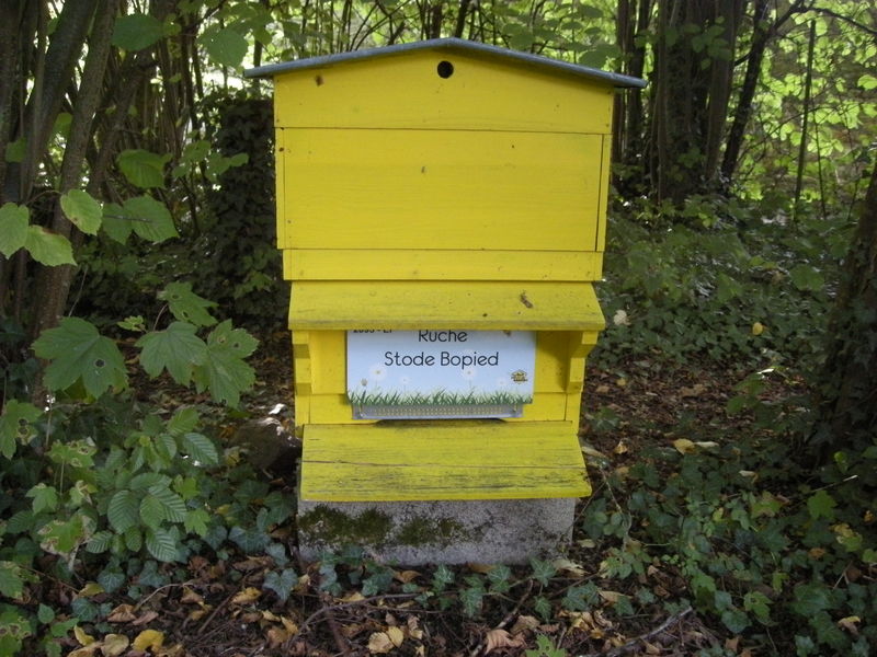 La ruche Stode Bopied