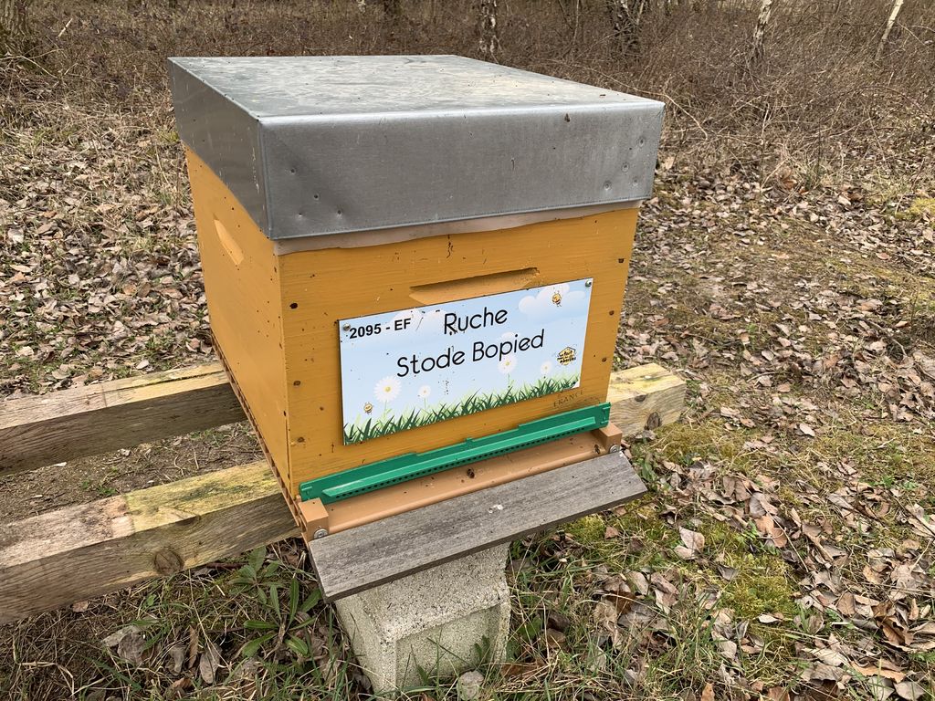 La ruche Stode Bopied