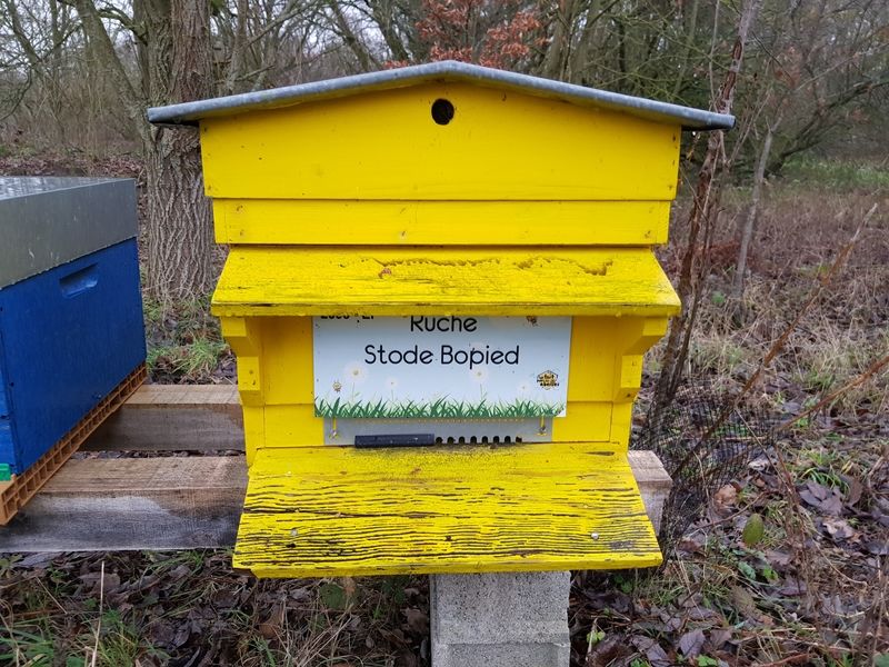La ruche Stode Bopied