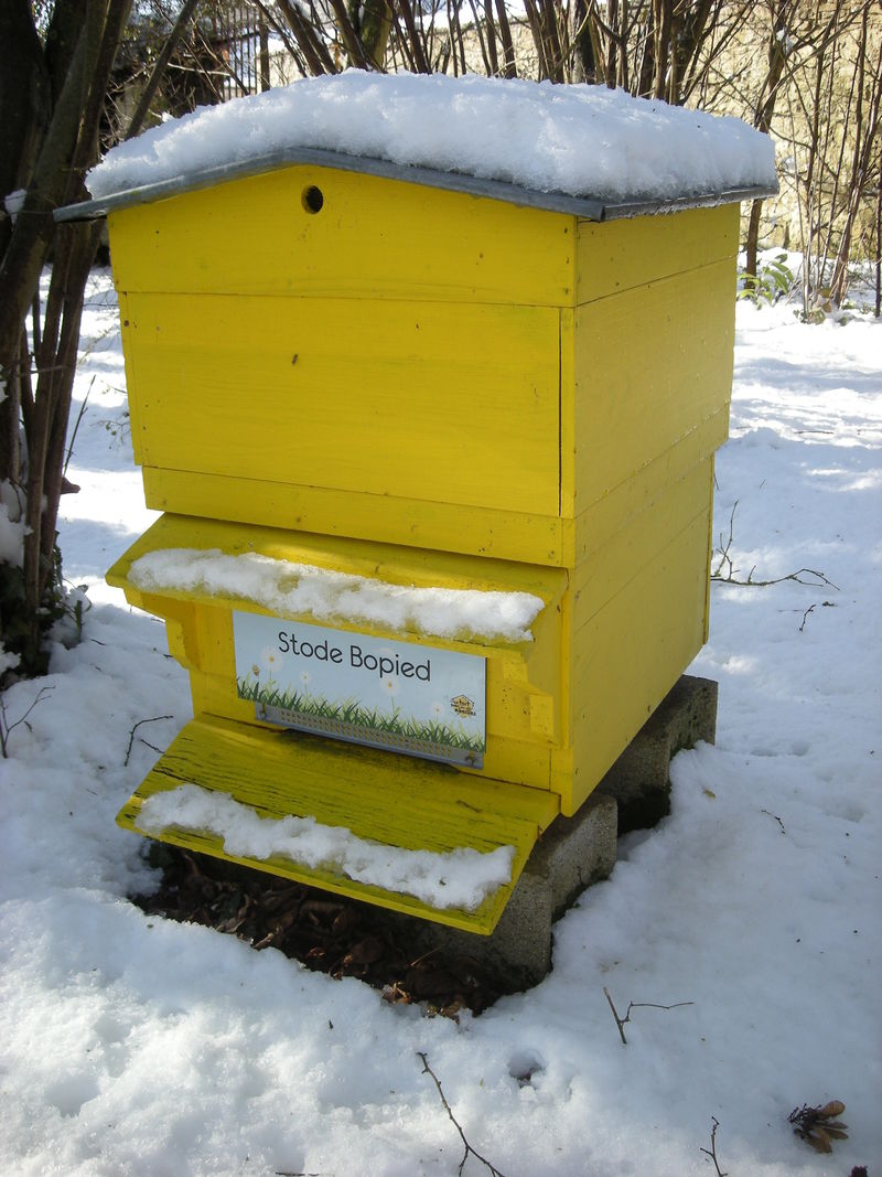 La ruche Stode Bopied