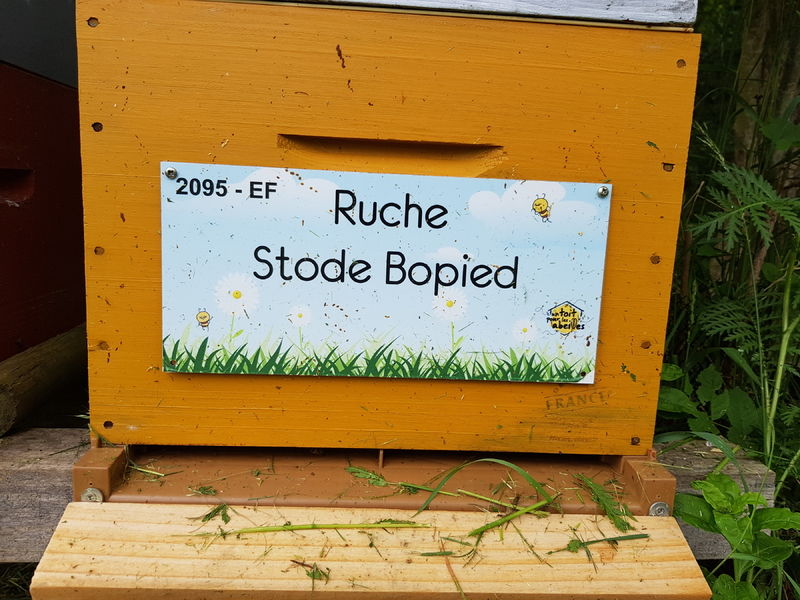 La ruche Stode Bopied