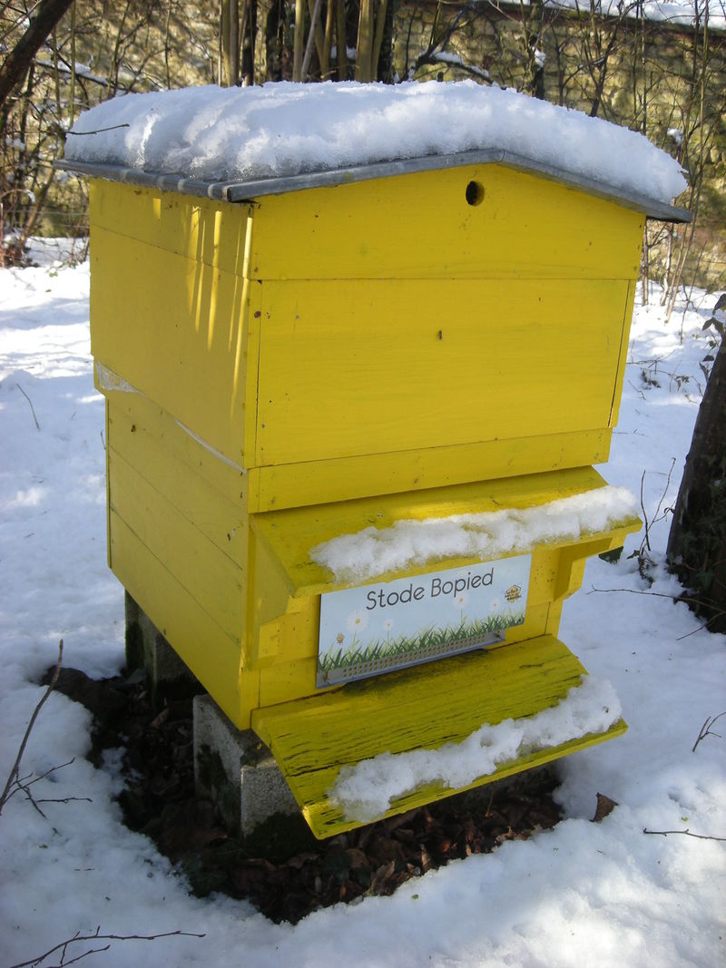 La ruche Stode Bopied