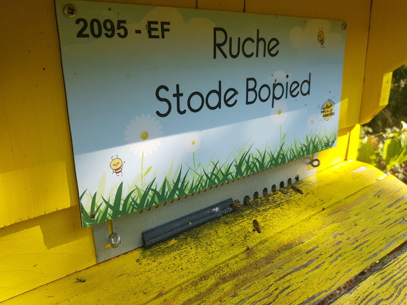 La ruche Stode Bopied